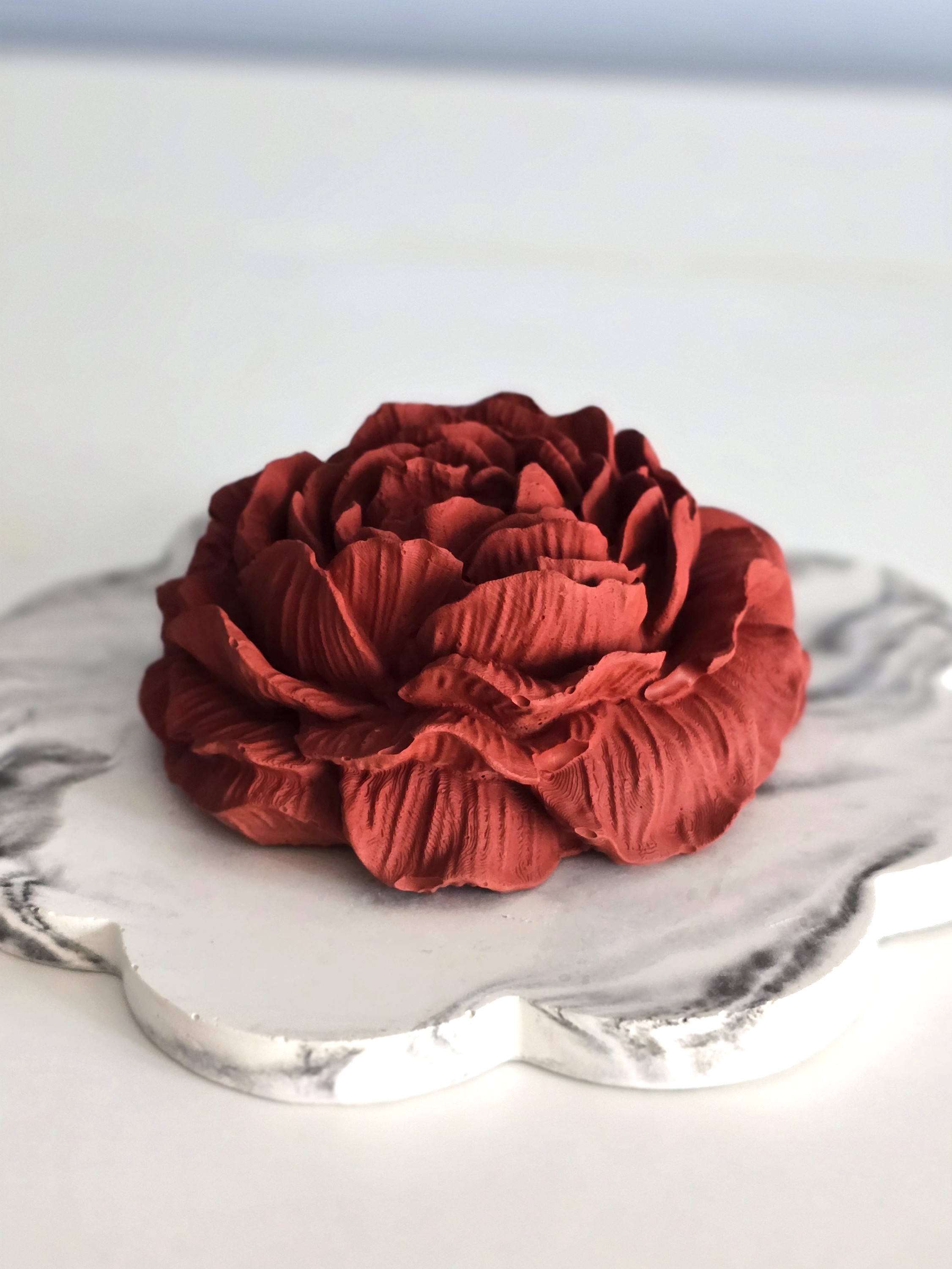 Rose avec plateau